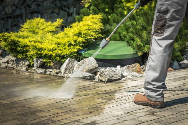 Best Gas Station Cleaning  in Wacousta, MI