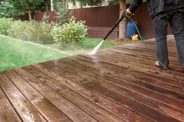 Best Winterizing Services  in Wacousta, MI