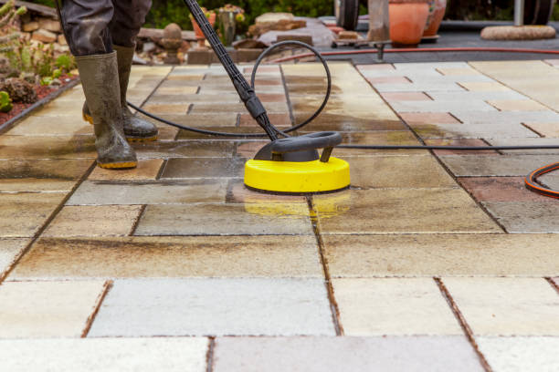 Best Patio and Deck Pressure Washing  in Wacousta, MI