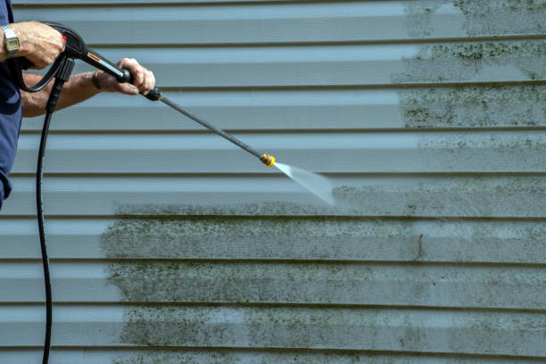 Boat and Dock Cleaning in Wacousta, MI