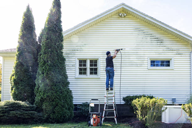 Best Roof Washing  in Wacousta, MI