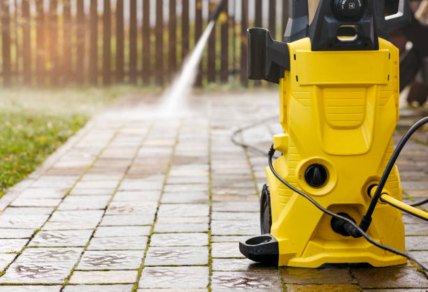 Best Sidewalk and Walkway Cleaning  in Wacousta, MI