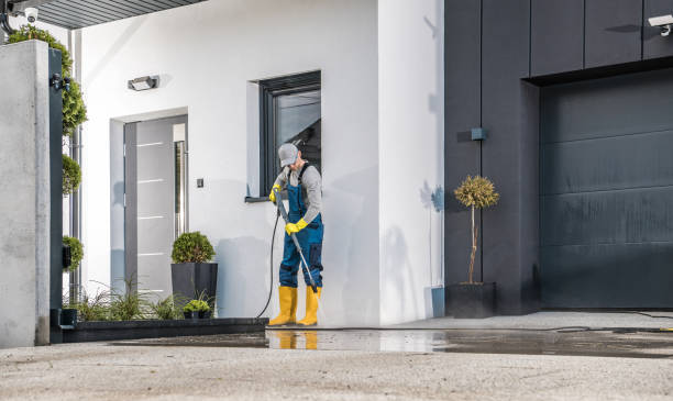 Best Boat and Dock Cleaning  in Wacousta, MI
