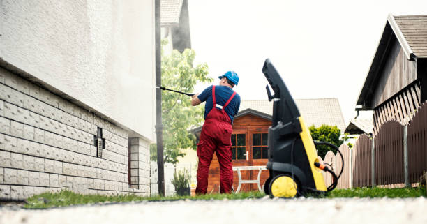 Best Residential Exterior Washing  in Wacousta, MI